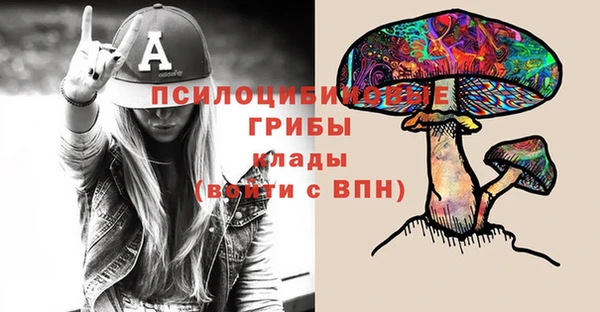 метадон Алексин