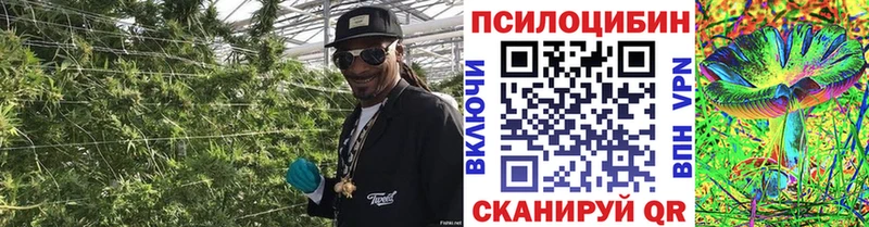 Галлюциногенные грибы прущие грибы  закладки  Себеж 